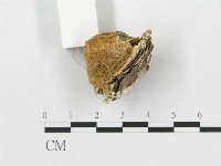 登錄號:F0007267藏品圖，第4張