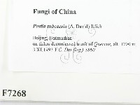 登錄號:F0007268藏品圖，第2張