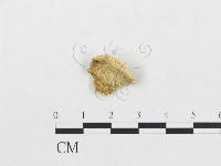 登錄號:F0007268藏品圖，第1張