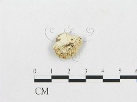 登錄號:F0007268藏品圖，第3張