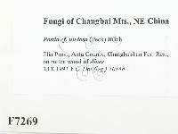 登錄號:F0007269藏品圖，第2張