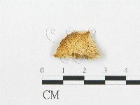 登錄號:F0007269藏品圖，第1張