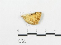 登錄號:F0007269藏品圖，第3張