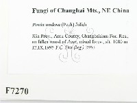 登錄號:F0007270藏品圖，第2張