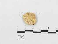 登錄號:F0007270藏品圖，第1張