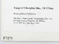 登錄號:F0007271藏品圖，第2張
