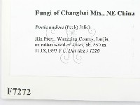 登錄號:F0007272藏品圖，第2張