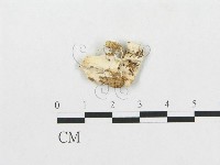 登錄號:F0007272藏品圖，第1張