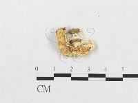 登錄號:F0007272藏品圖，第4張