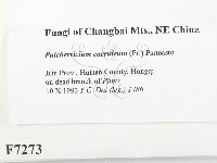 登錄號:F0007273藏品圖，第2張