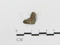 登錄號:F0007273藏品圖，第3張