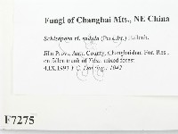 登錄號:F0007275藏品圖，第2張