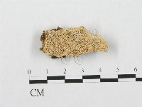 登錄號:F0007275藏品圖，第1張