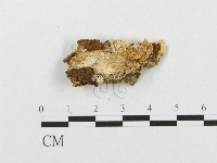 登錄號:F0007275藏品圖，第3張