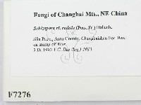 登錄號:F0007276藏品圖，第2張