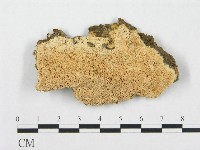 登錄號:F0007276藏品圖，第1張