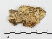 登錄號:F0007276藏品圖，第3張