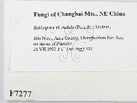 登錄號:F0007277藏品圖，第2張