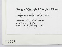 登錄號:F0007278藏品圖，第2張