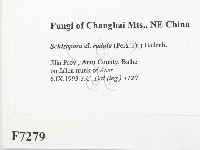 登錄號:F0007279藏品圖，第2張