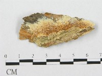 登錄號:F0007279藏品圖，第1張