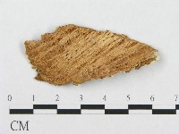 登錄號:F0007279藏品圖，第3張
