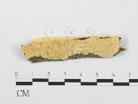 登錄號:F0007280藏品圖，第1張