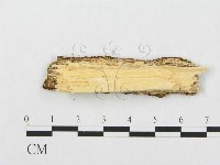 登錄號:F0007280藏品圖，第3張