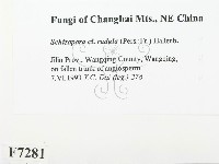 登錄號:F0007281藏品圖，第2張