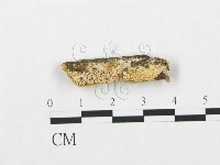 登錄號:F0007281藏品圖，第1張