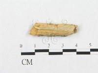 登錄號:F0007281藏品圖，第3張