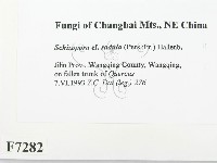 登錄號:F0007282藏品圖，第2張