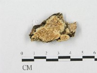 登錄號:F0007282藏品圖，第1張