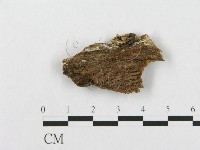 登錄號:F0007282藏品圖，第3張