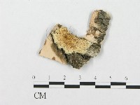 登錄號:F0007283藏品圖，第1張