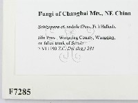 登錄號:F0007285藏品圖，第2張