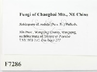 登錄號:F0007286藏品圖，第2張