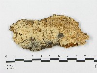 登錄號:F0007286藏品圖，第1張