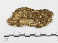 登錄號:F0007286藏品圖，第3張