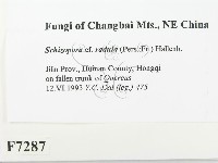 登錄號:F0007287藏品圖，第2張