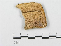 登錄號:F0007287藏品圖，第1張