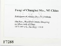 登錄號:F0007288藏品圖，第2張