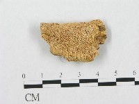 登錄號:F0007288藏品圖，第1張