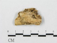 登錄號:F0007288藏品圖，第3張