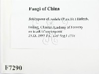 登錄號:F0007290藏品圖，第2張