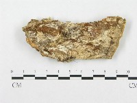 登錄號:F0007290藏品圖，第1張