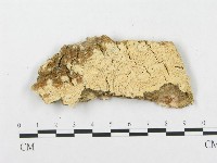 登錄號:F0007290藏品圖，第3張