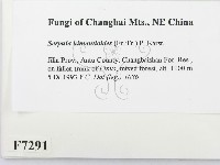 登錄號:F0007291藏品圖，第2張