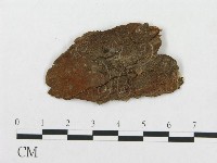 登錄號:F0007291藏品圖，第3張