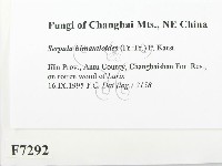 登錄號:F0007292藏品圖，第2張